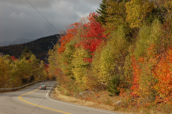Fall in White Mountains